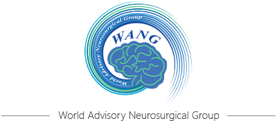 WANG(世界神经外科顾问团)