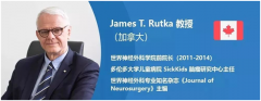 儿童脊索瘤的治疗和预后：加拿